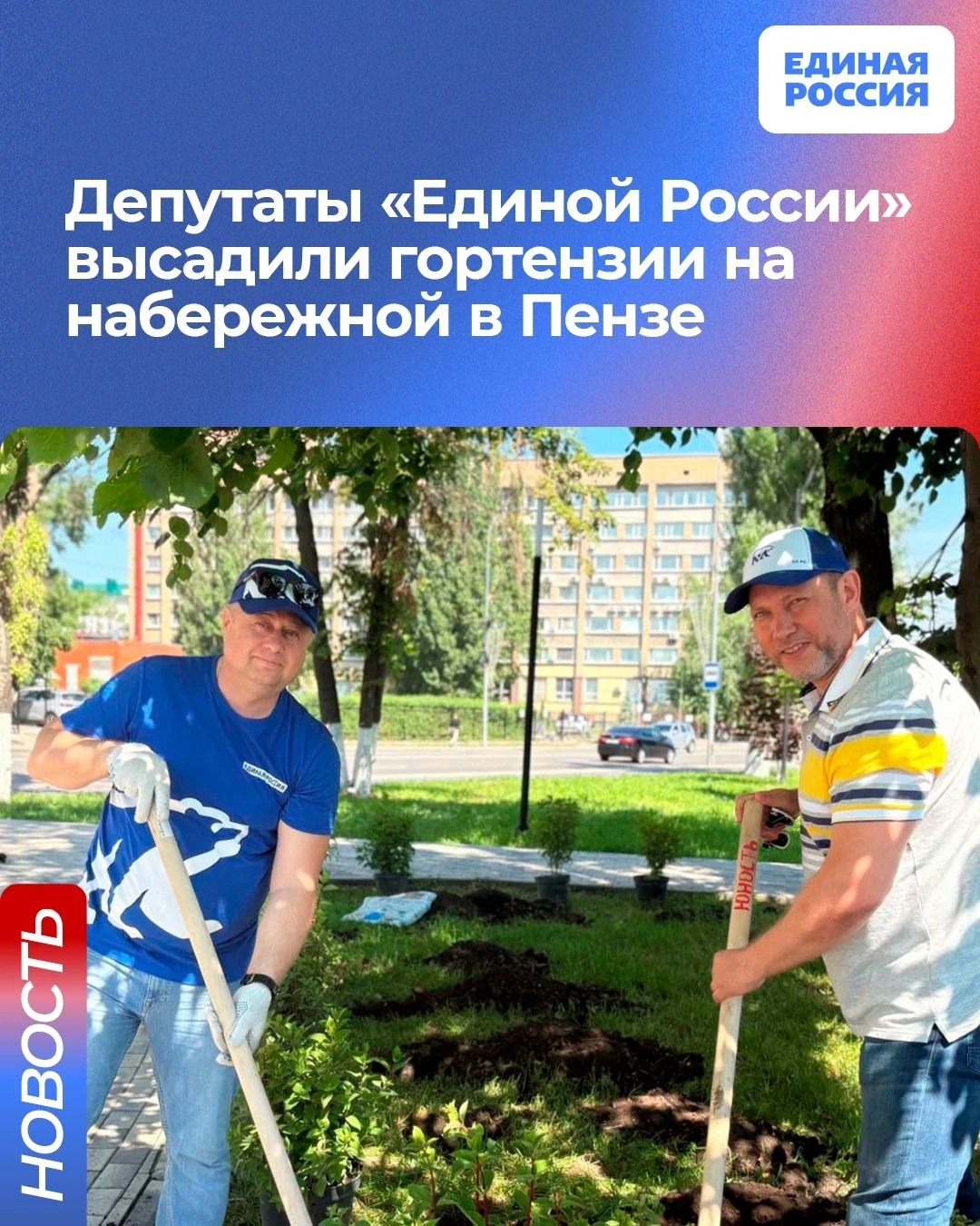 Депутаты от «Единой России» в Пензенской городской думе высадили гортензии на набережной реки Сура. 