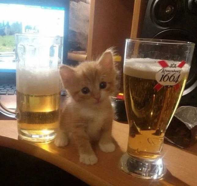 7 августа Международный день пива! 🍺

// скинь тому,с кем хотел бы отметить! //
