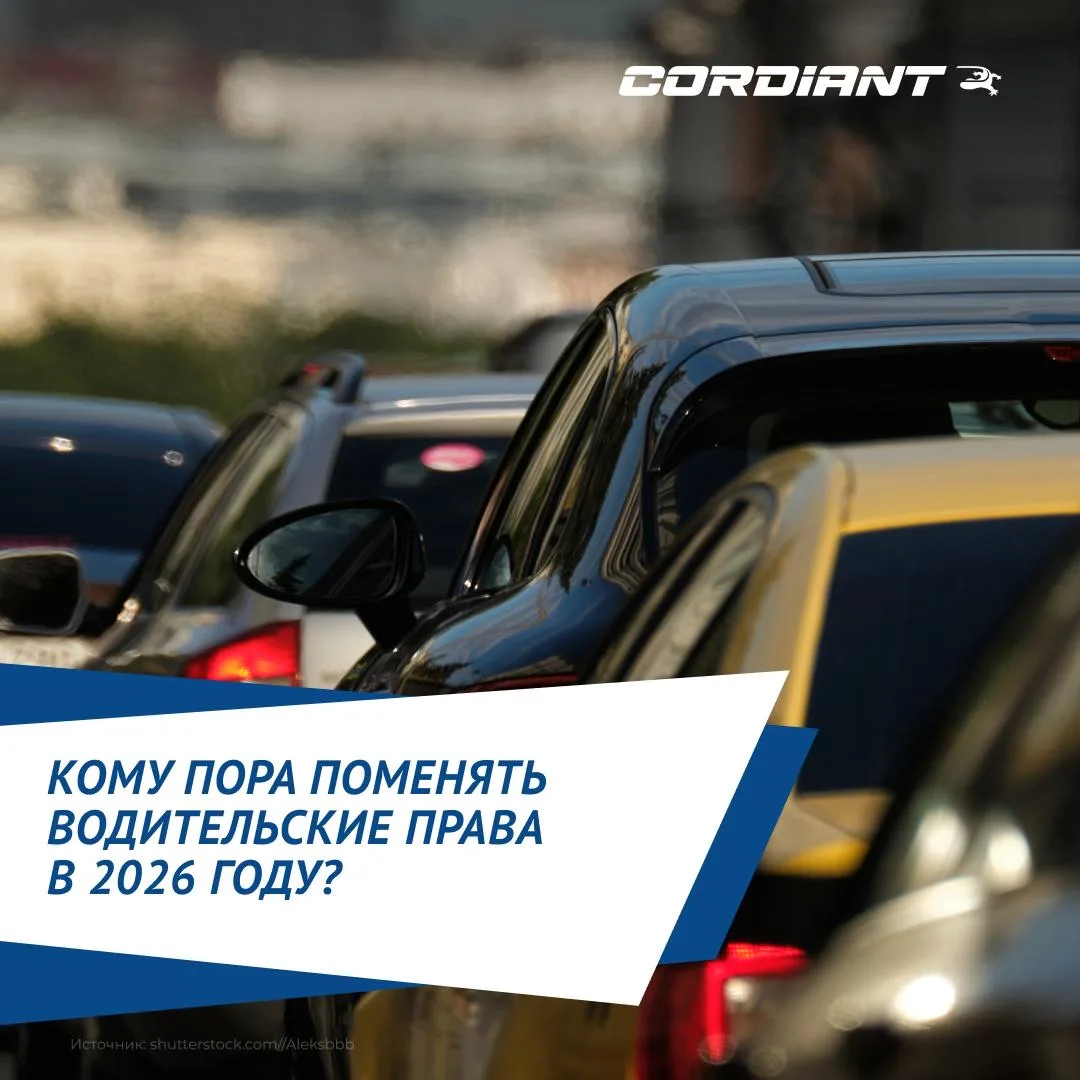 Кому в 2026 году нужно менять права