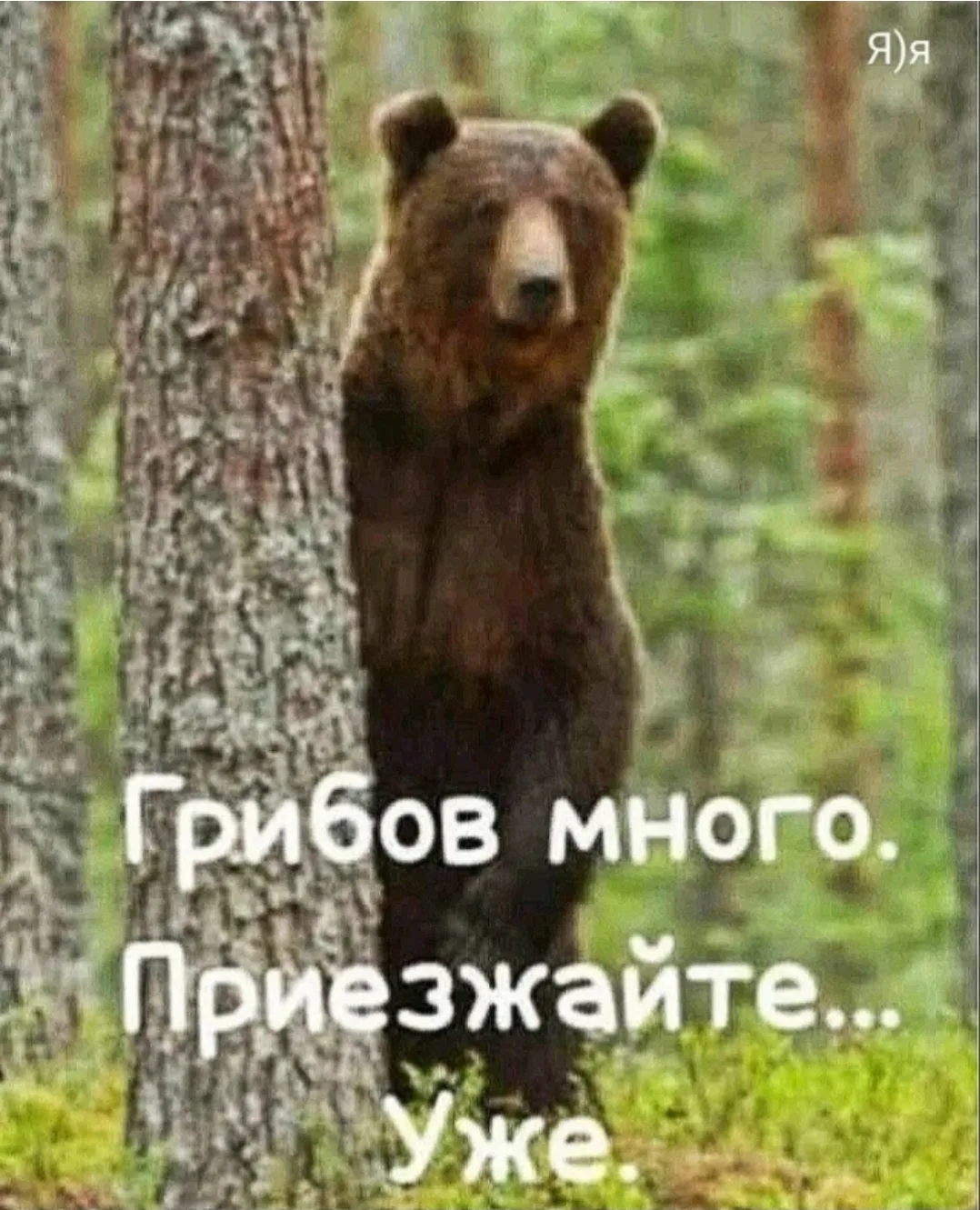 Больше порожают люди, которые знают об опасности и все равно ищут приключения на свои в...