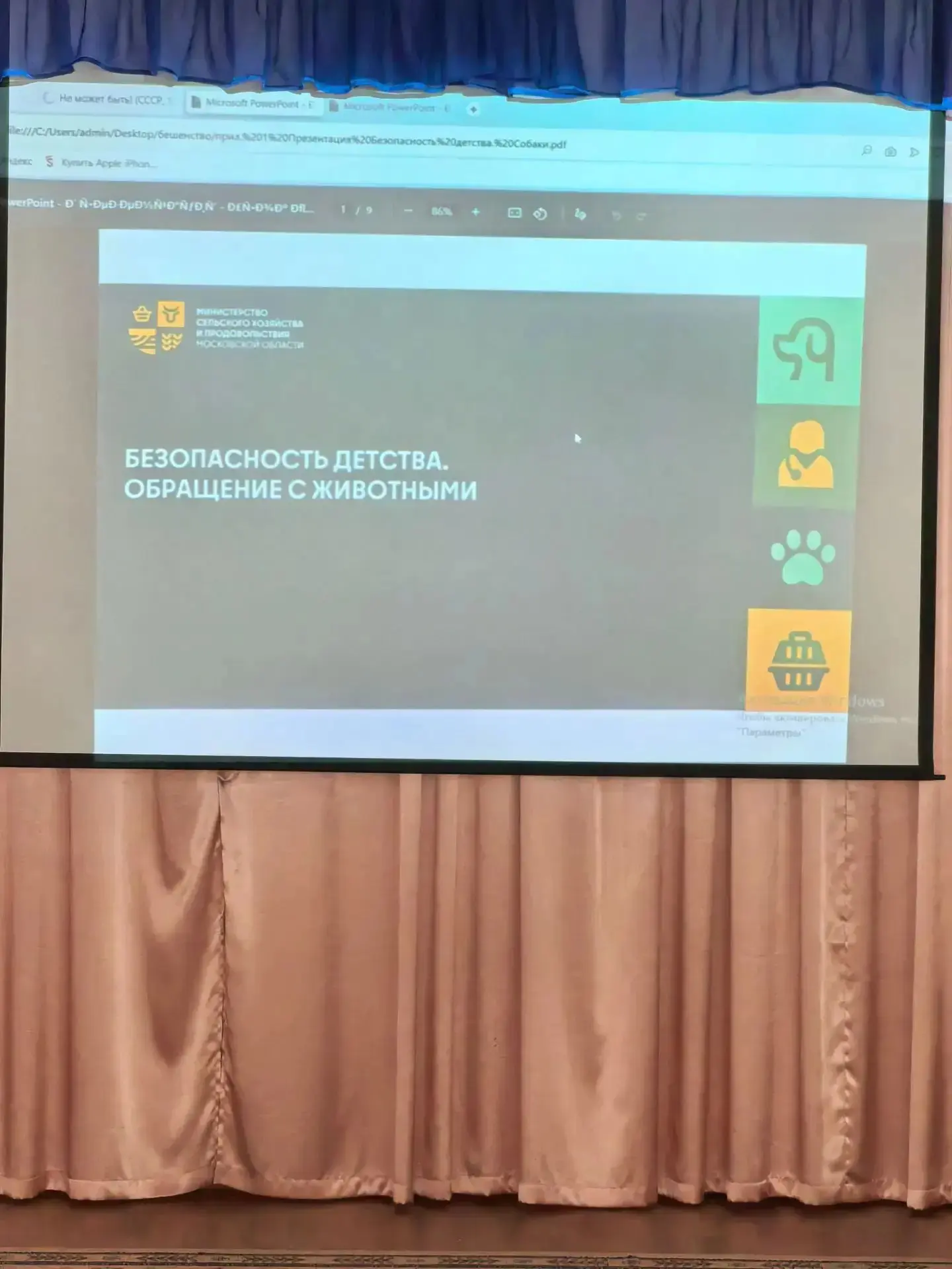 🐾 Безопасность детства: как правильно общаться с животными.
