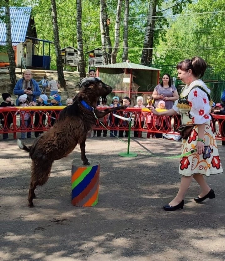 🎉ПРИГЛАШАЕМ НА ЦИРКОВОЕ ПРЕДСТАВЛЕНИЕ В МИНИ-ЗООПАРК!🎉