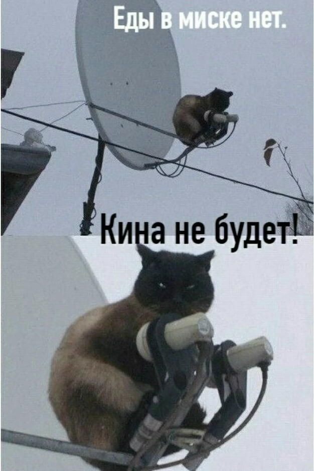 Подпишись на юмор 😂