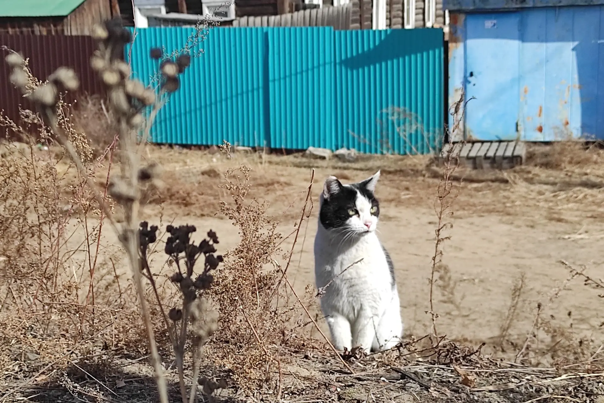 Судебные приставы Читы приняли участие в общегородском субботнике  Члены Молодежного совета УФССП Ро
