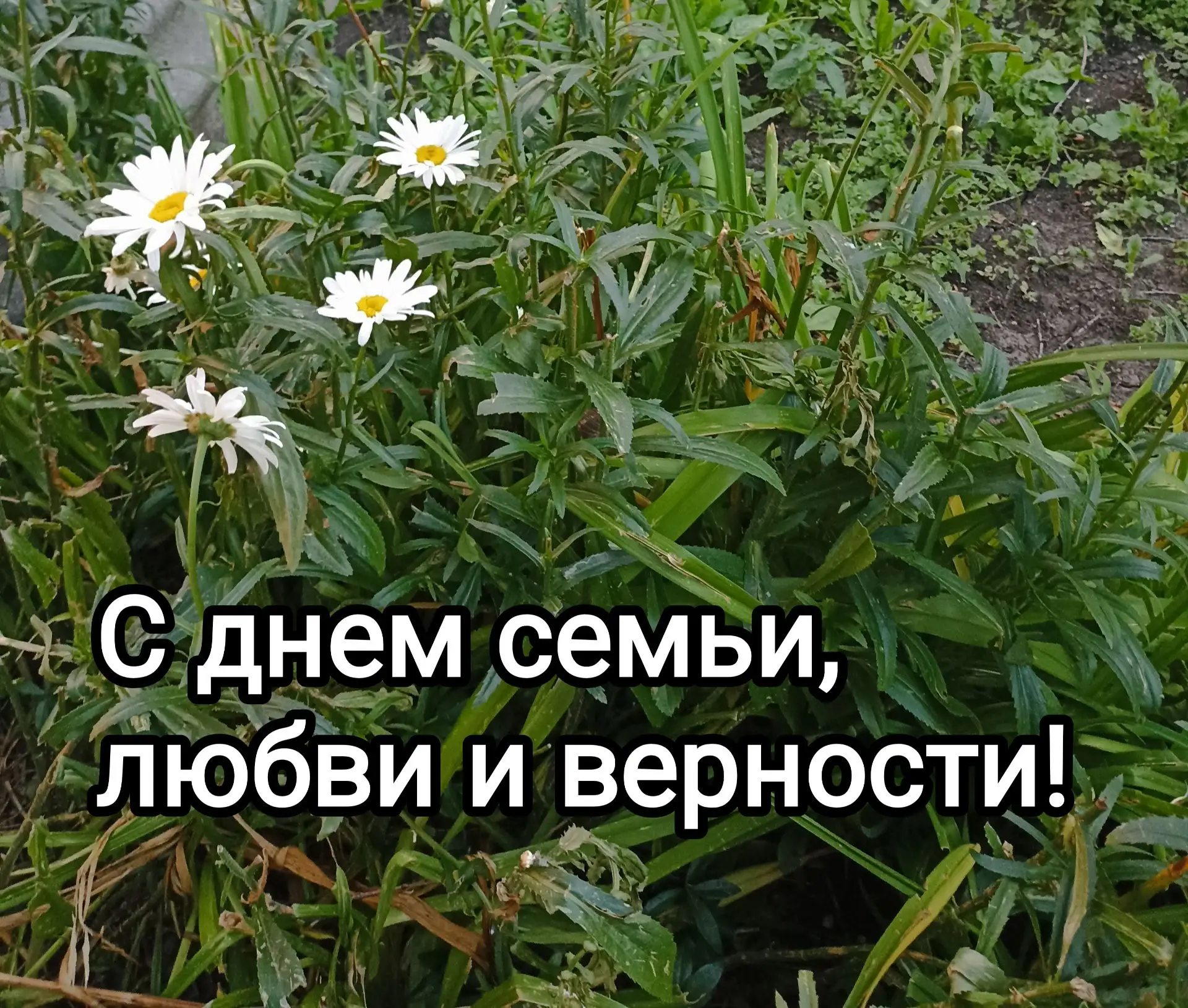 Дорогие друзья! От всей души поздравляем Вас с Днём семьи, любви и верности!

Совсем недавно этот де