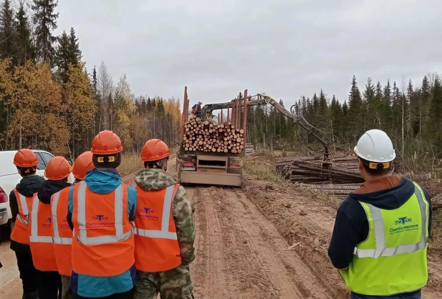 ✅🌲 Школьники Поморья познакомились с работой лесозаготовительного предприятия
