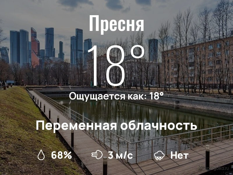Что с погодой в Пресненском?