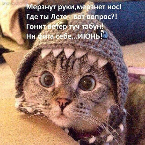 Список качественных каналов в МАКС | Смотреть ❤️