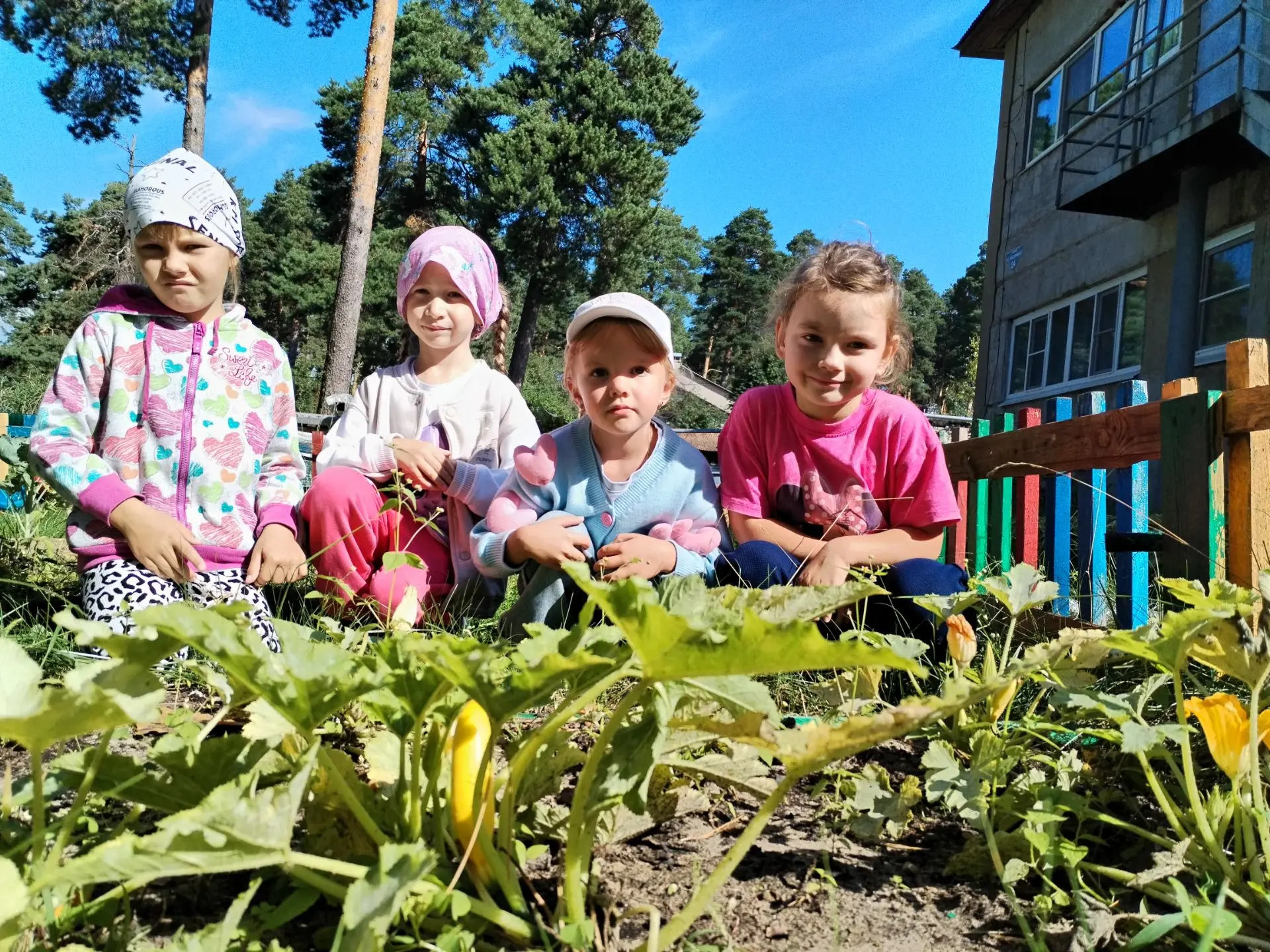 🥕🥔🫑🥒🍎 Сбор урожая на огороде