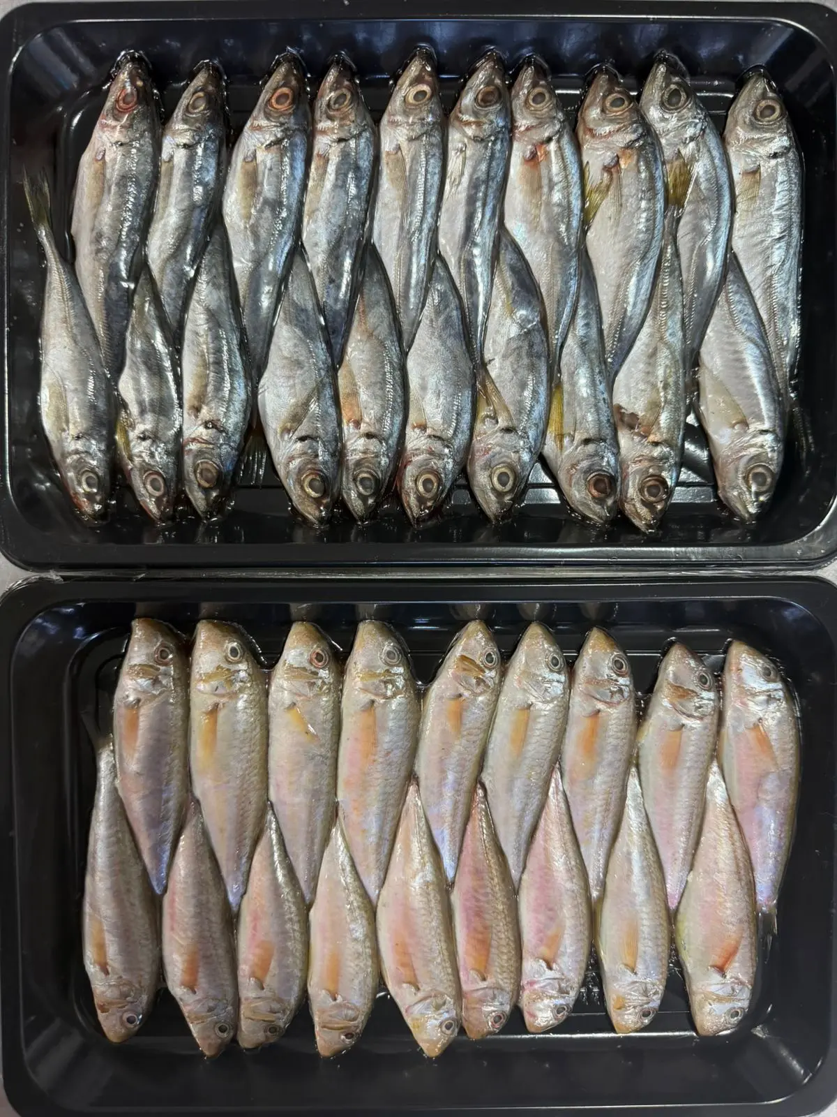 Друзья, всем привет. 🫂 рыбный день Четверг. 🐟 напоминаю, что у нас в этот день -10% н...