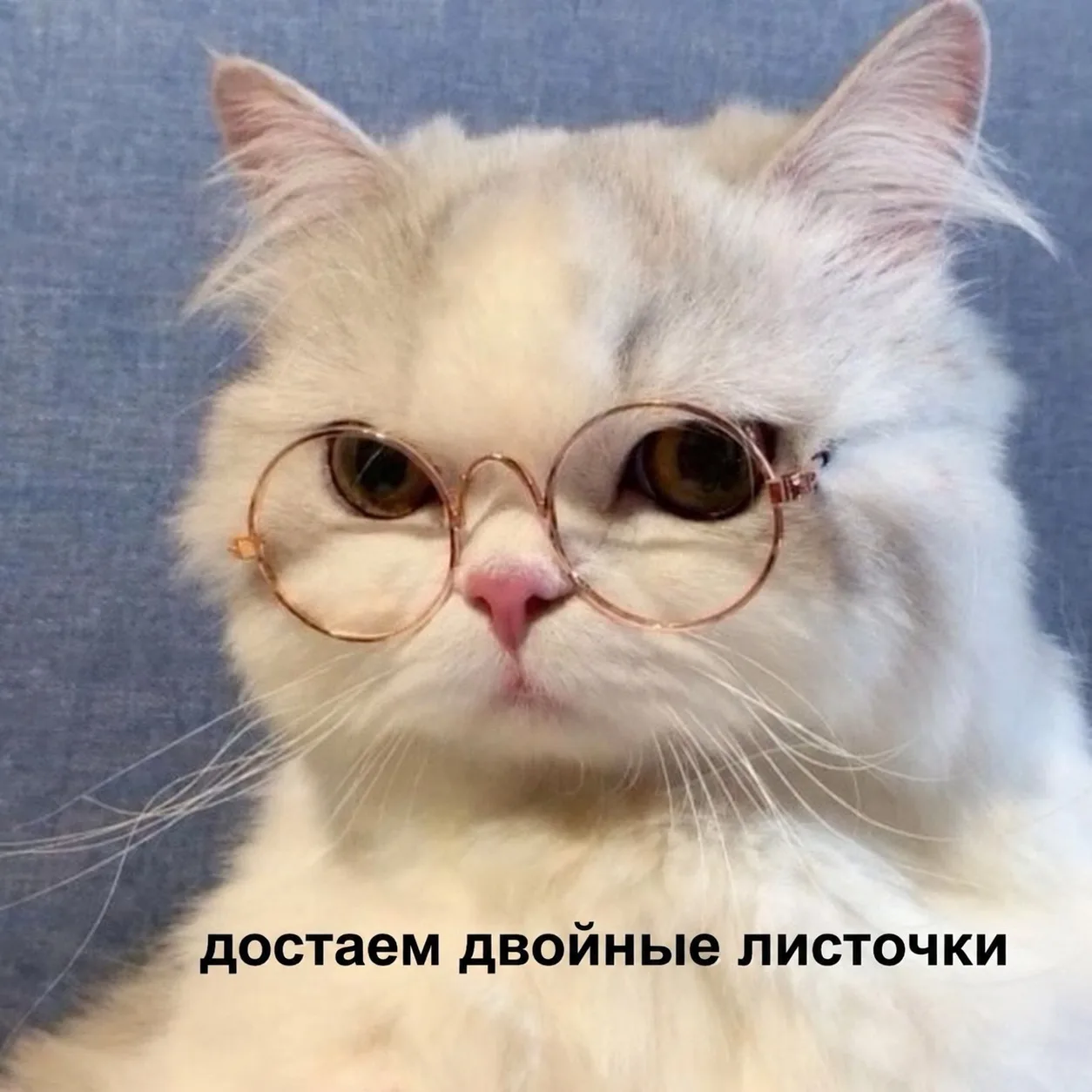 Доброе утро, Новосибирск! ☀️