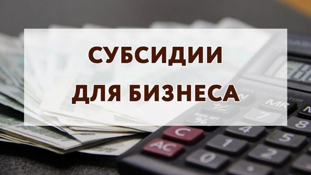 Предприниматели Комсомольска-на-Амуре получили субсидии в размере более 2,25 млн рублей...