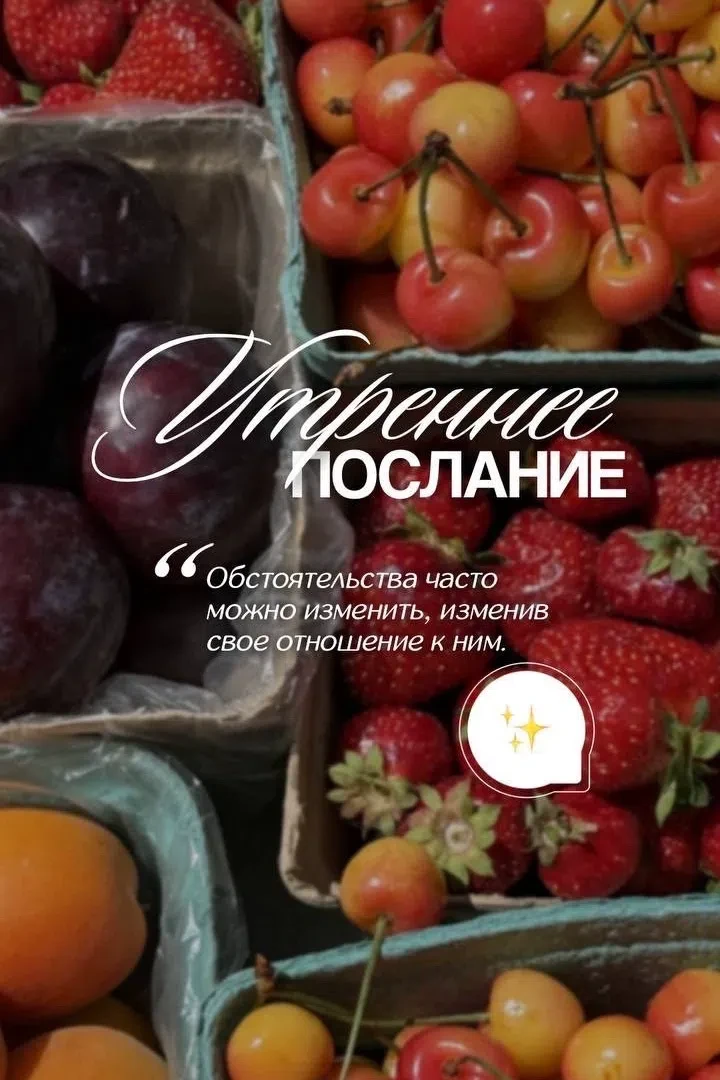 #ЦитатаДня