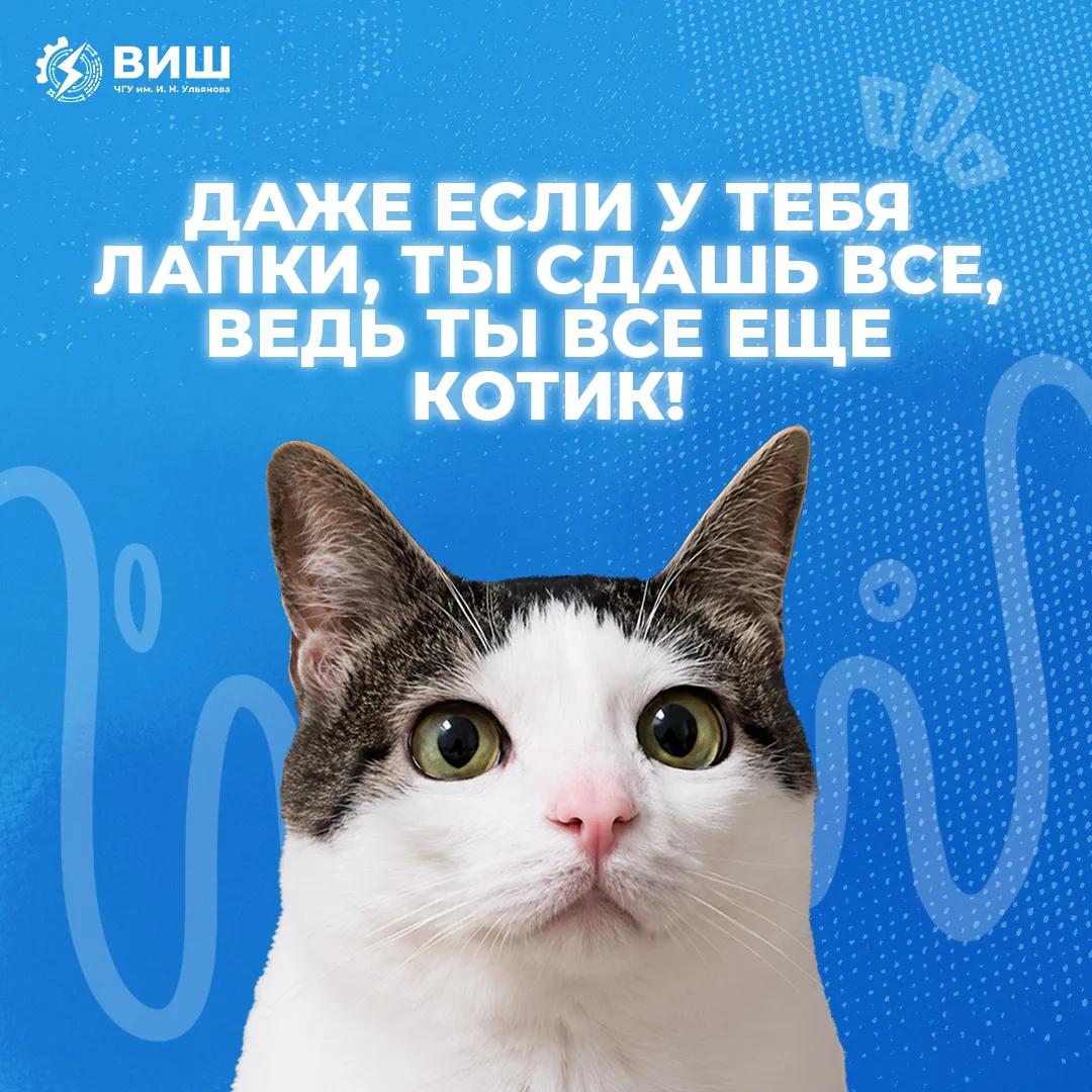 Настал ваш звездный час показать себя! ✨