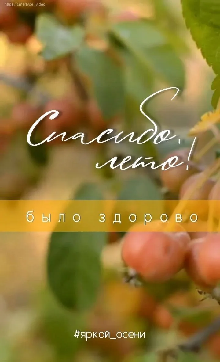 Дорогие ученики и родители! 🎨🎻Последние дни августа пролетают незаметно. Мы надеемся,...