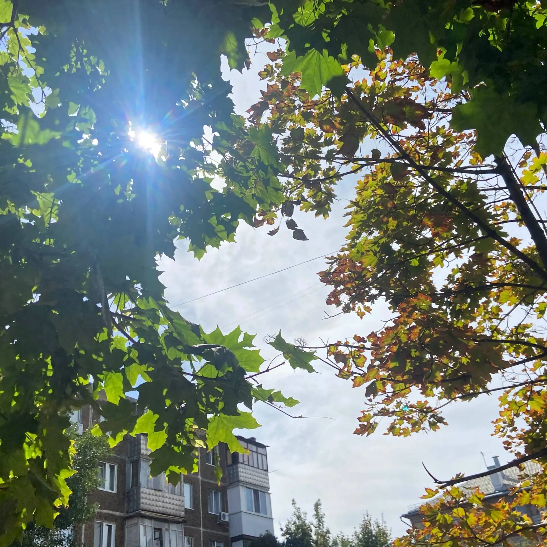 ☀️ Доброе утро, Оренбуржье!
