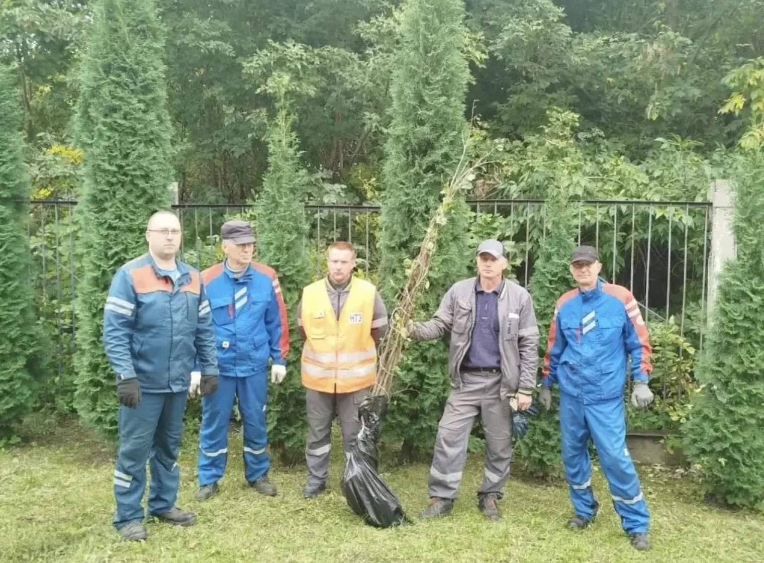 🌿 На ЮВЖД появилась новая липовая аллея
