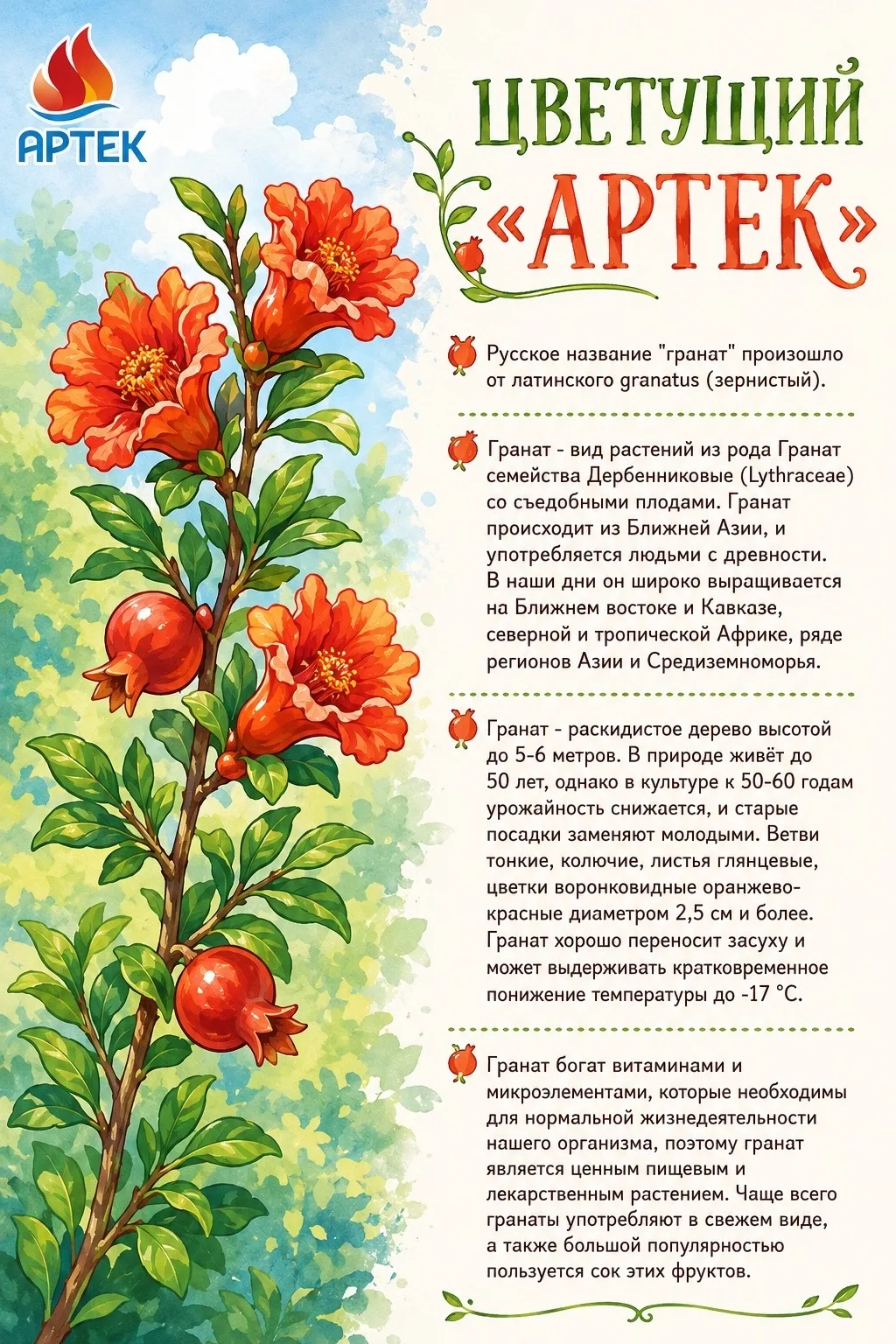 ЦВЕТУЩИЙ «АРТЕК»

Всем привет, друзья! 

Продолжаем рассказывать о фауне и флоре нашего любимого цен