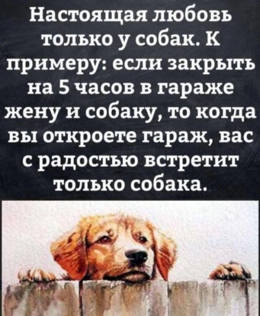 🤣🤣🤣