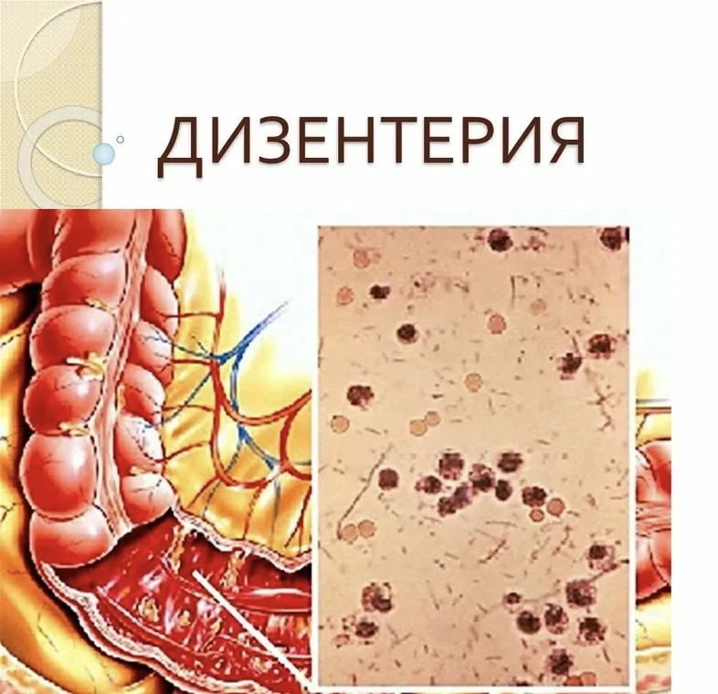https://vk.ru/wall-195560078_11901