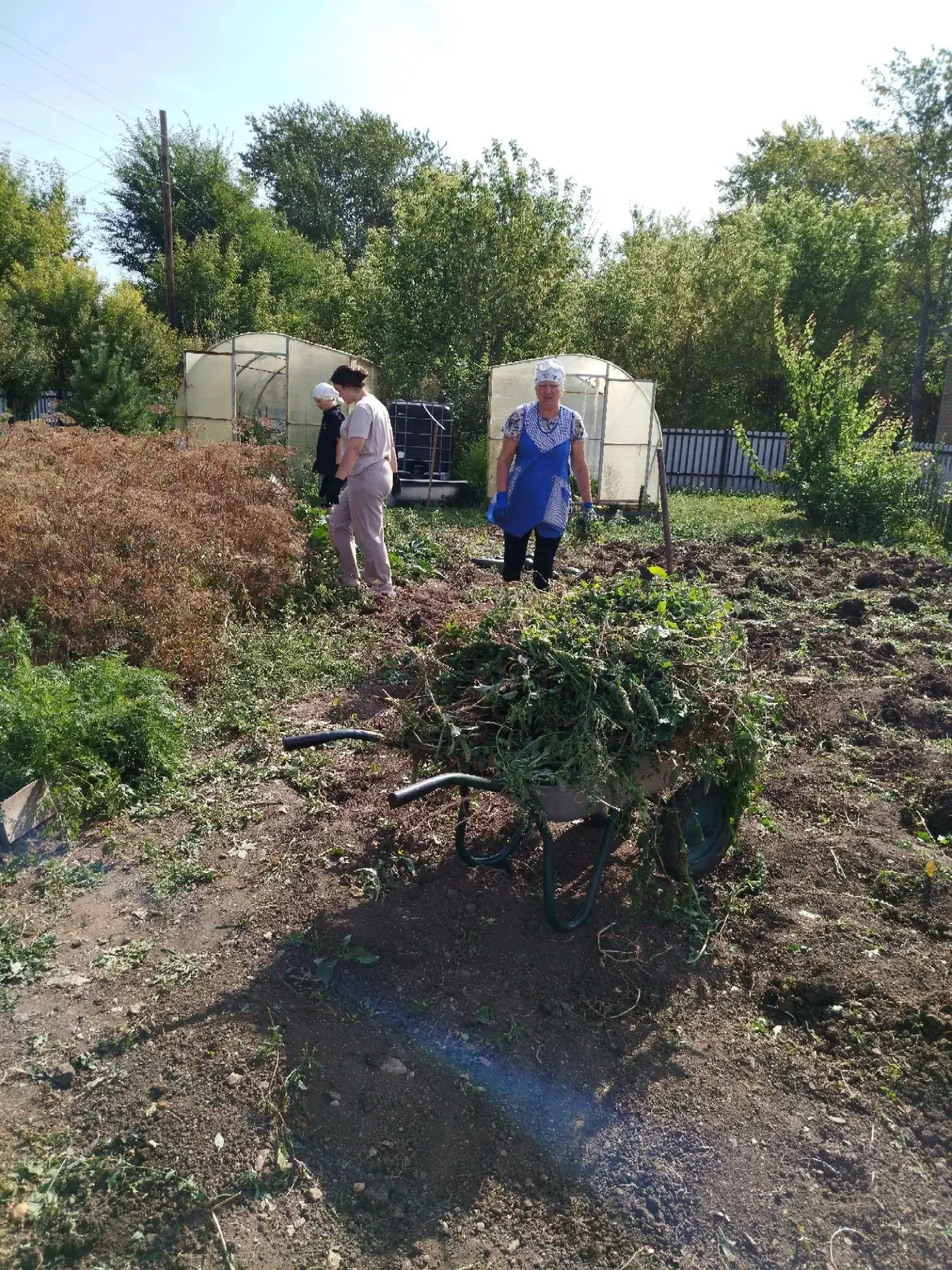 Август в Центре помощи детям — это время обновления и единства. Пока внутри завершаются...