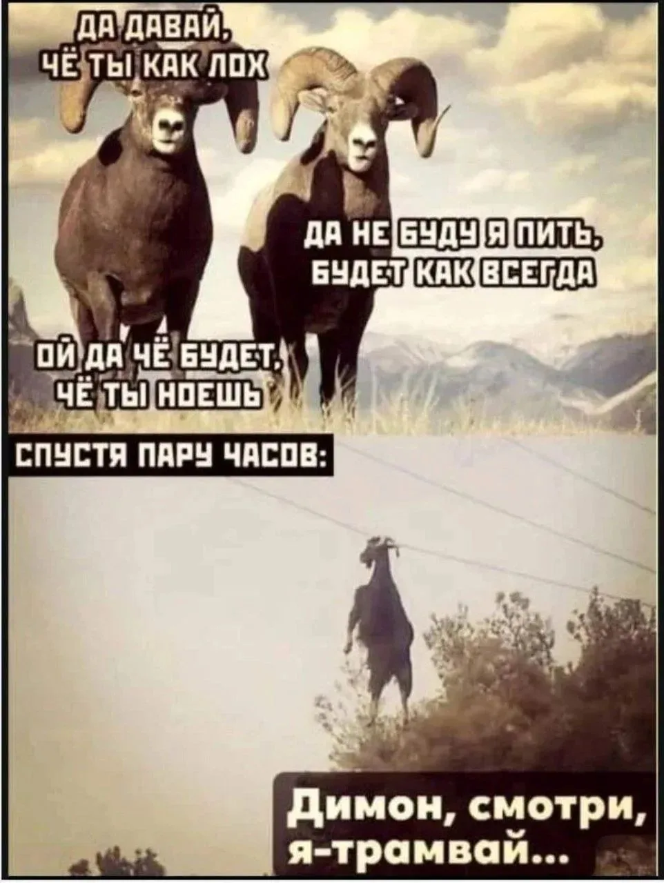 🔈 Подписаться 👈