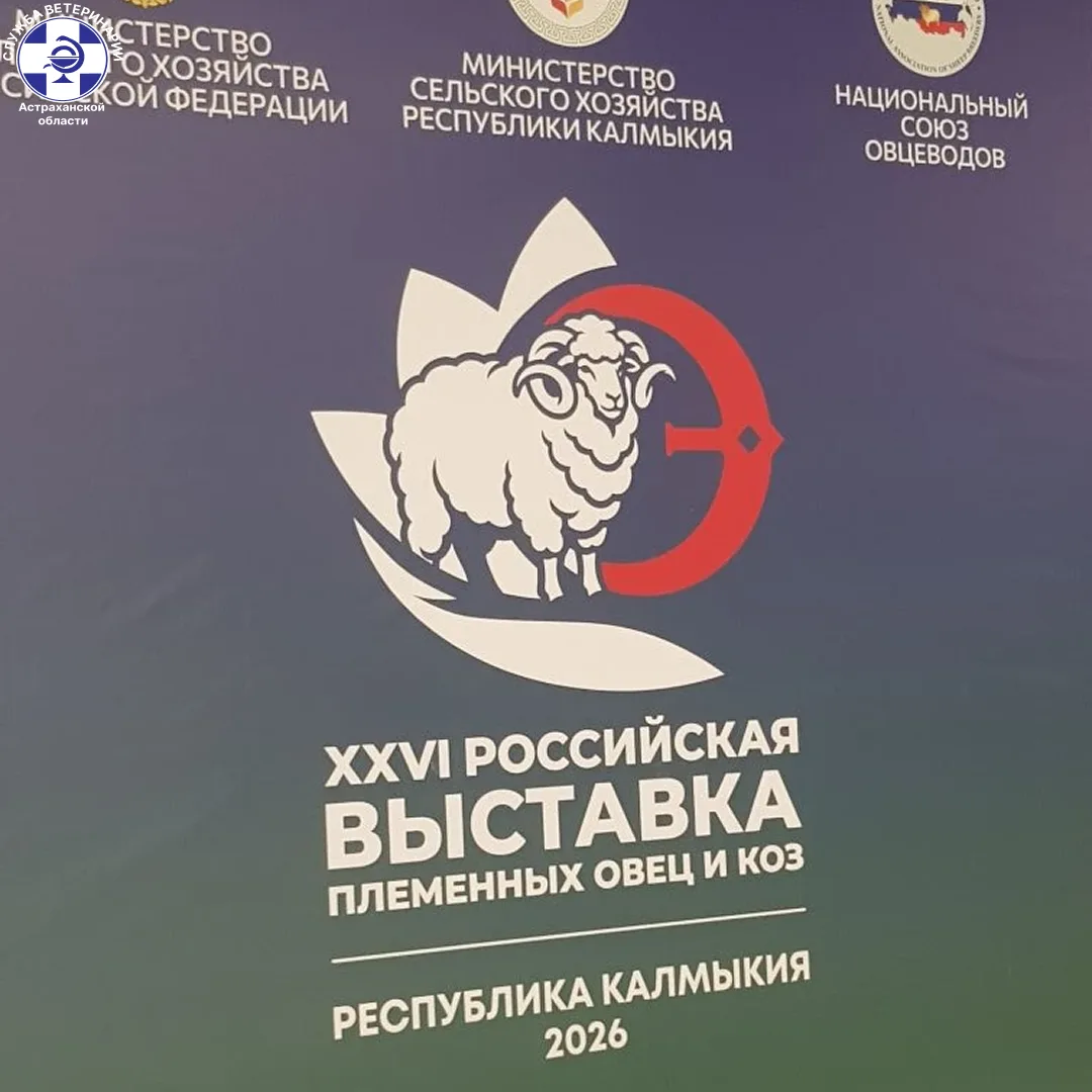 📅 Важное событие: С 27 по 29 мая 2026 года в Элисте (Республика Калмыкия) проводится  XXVI Всеросси