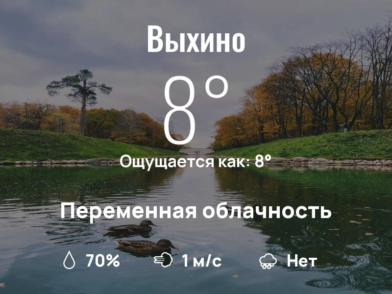 Что с погодой в Выхино?