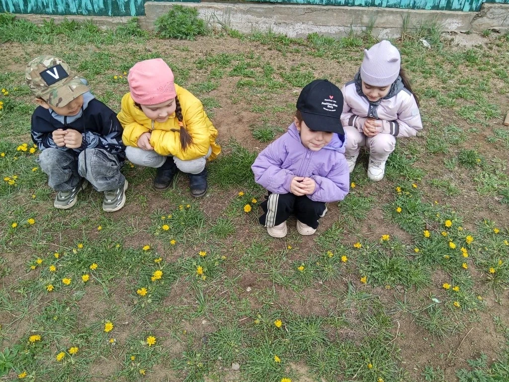 🌞13 мая - во Всемирный день одуванчика в группе "Сказка" с детьми побеседовали на тему...