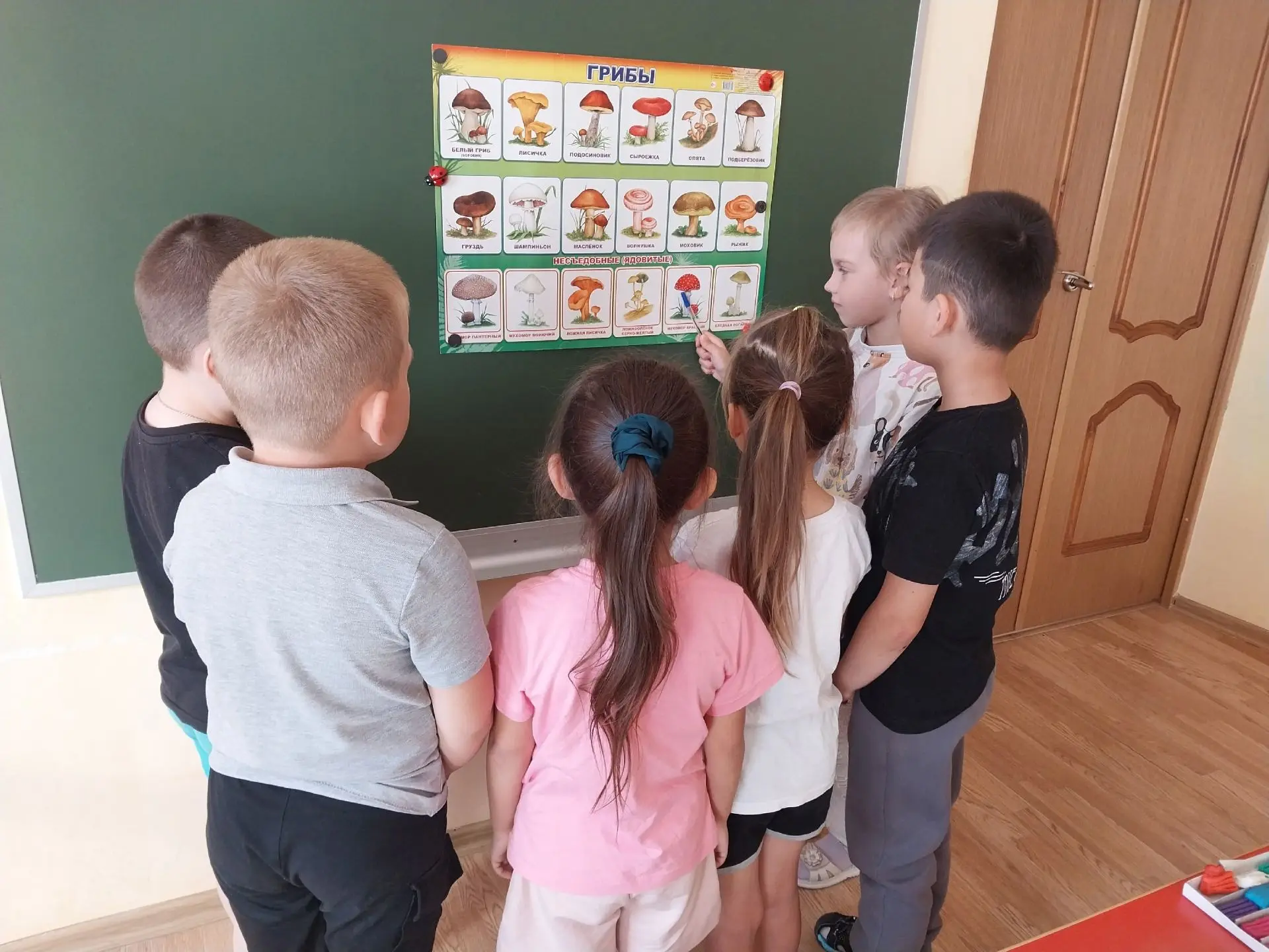 В группе «Теремок» прошло увлекательное тематическое занятие «Грибы»! 🍄