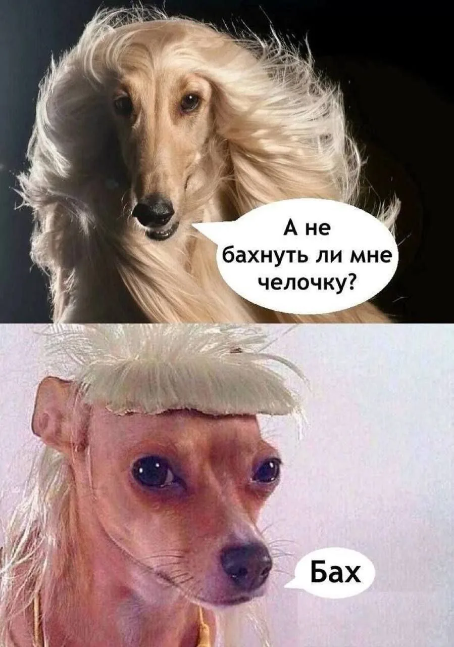 😂