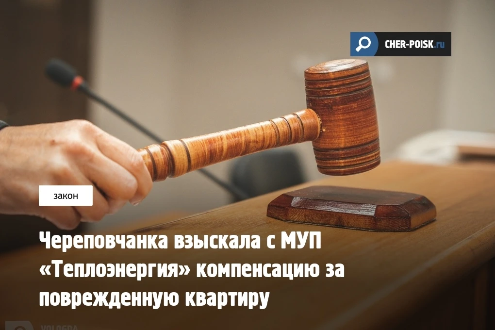 В Череповецкий городской суд с иском обратилось общество по защите прав потребителей. Оно выступило 