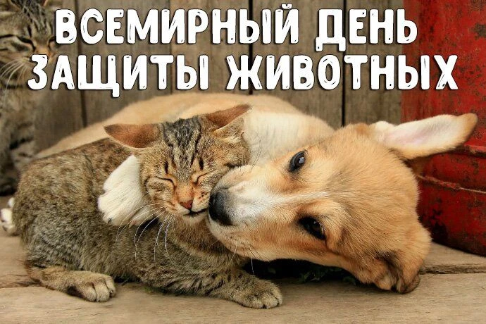ЖИВЫЕ ОТКРЫТКИ🫶🏻