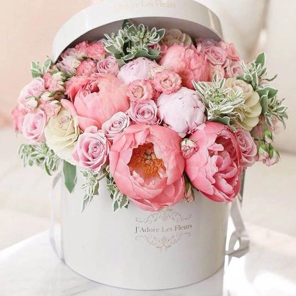 🌸🌸🌸🌸🌸🌸🌸🌸🌸🌸🌸