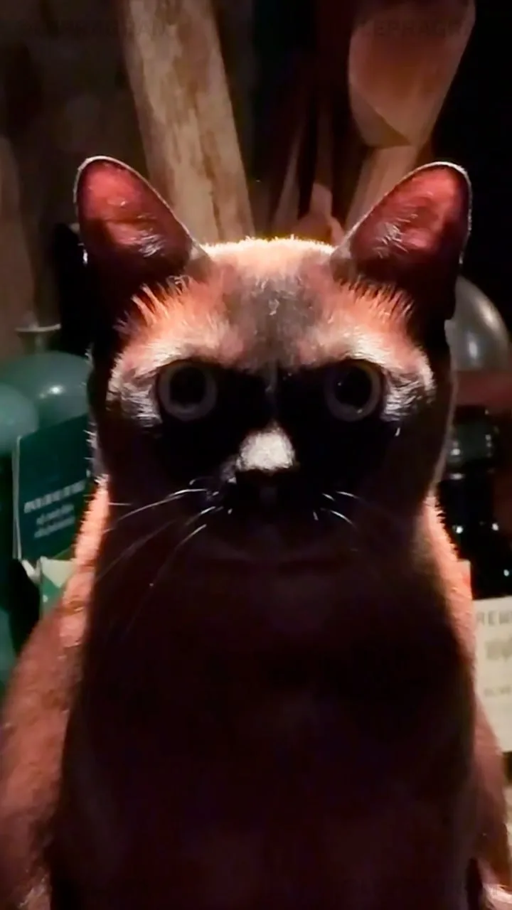 Доброе утречко ❤️