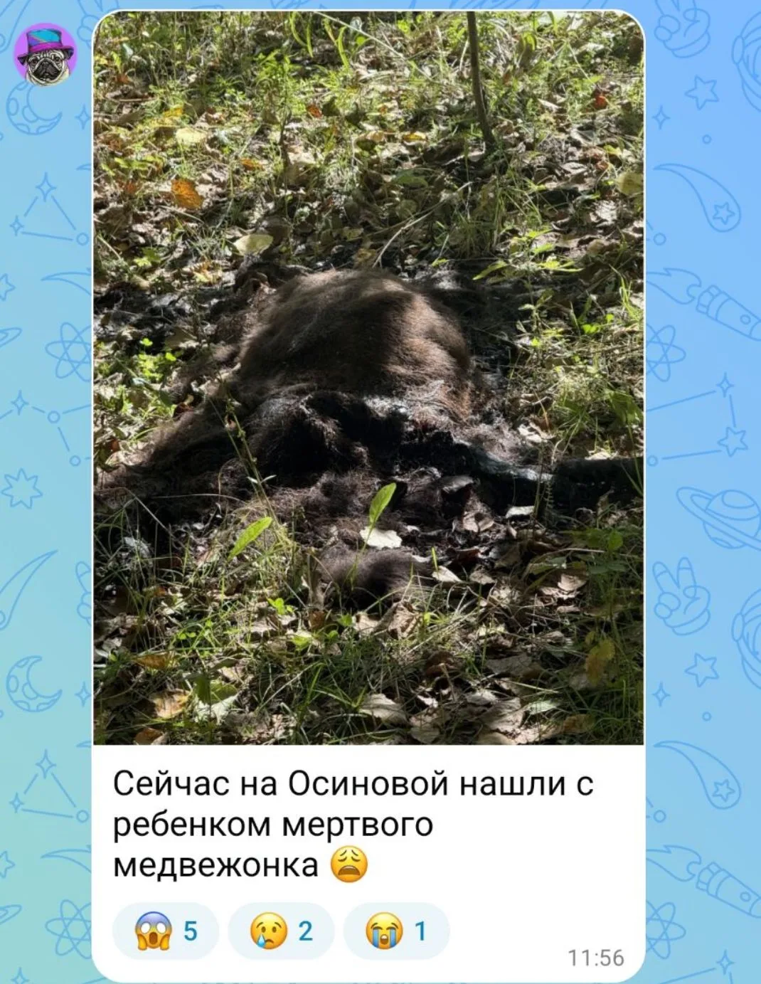 Хабаровск