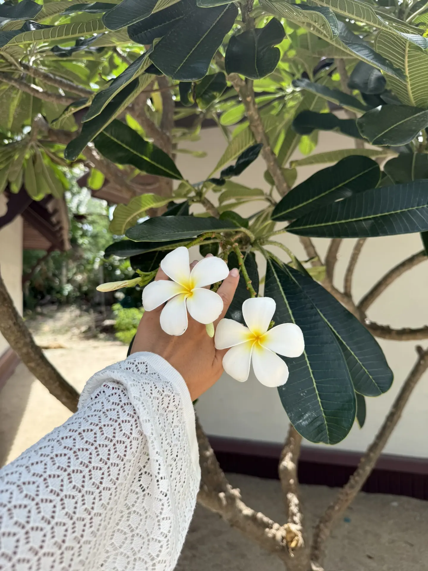 🇹🇭 Паттайя, Таиланд | Меняйте серый ноябрь на яркие тропики