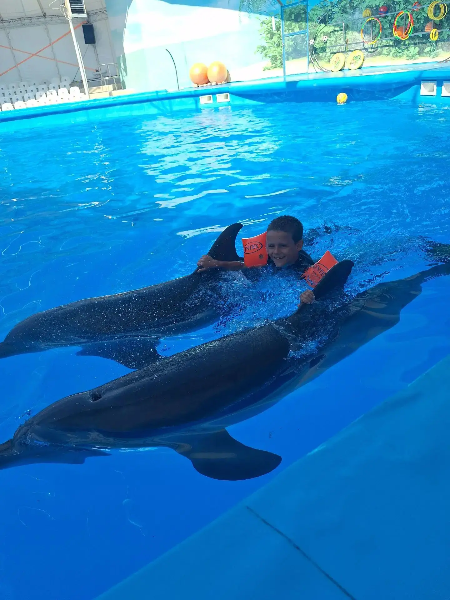 🐬 Дельфинотерапия: дошкольник Ваня о счастье и новых силах!