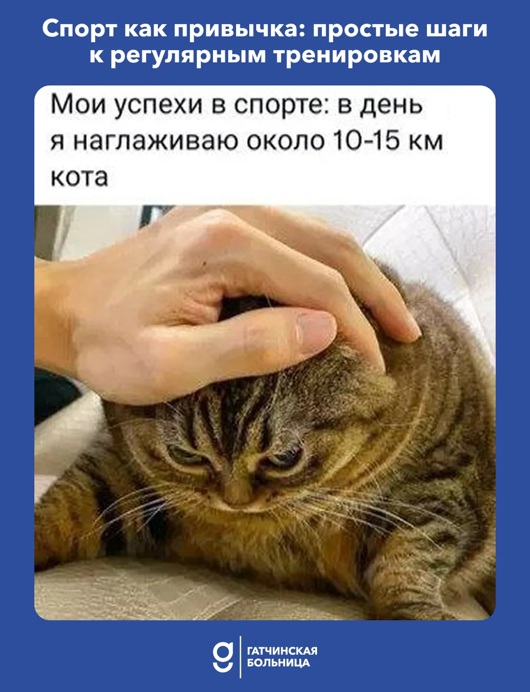 Спорт как привычка: простые шаги к регулярным тренировкам