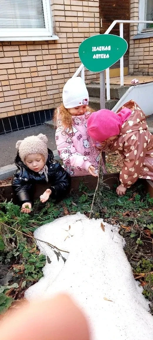 👩‍🌾 В саду — огородные страсти! 👨‍🌾  Весна вступает в свои права, а это значит, что наши грядки ждут