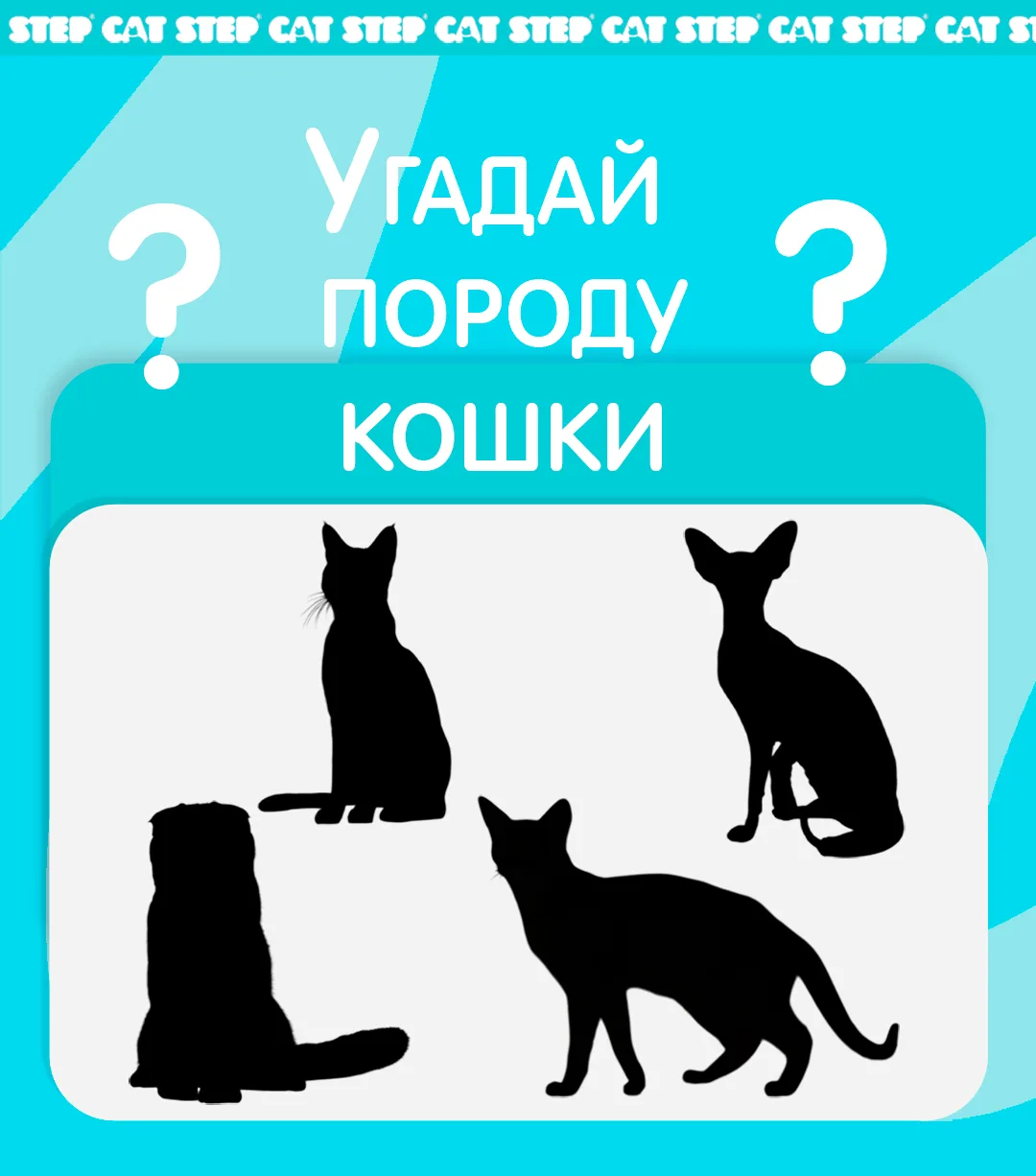 👋Поиграем?

Перед вами 4 породы кошек... вернее их тени) Ваша задача угадать и написать ответ в ком
