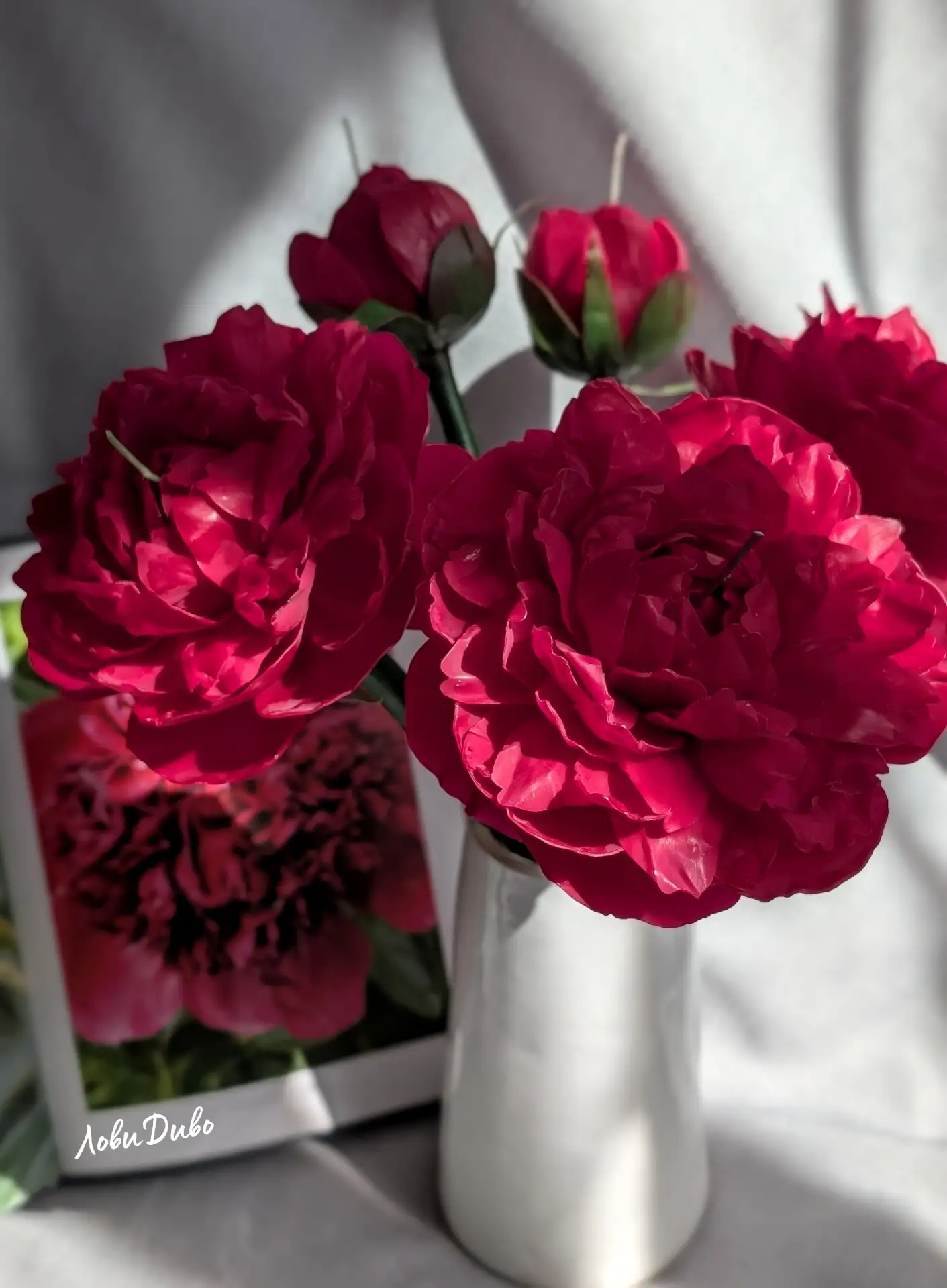 Любимые пиончики)🌸