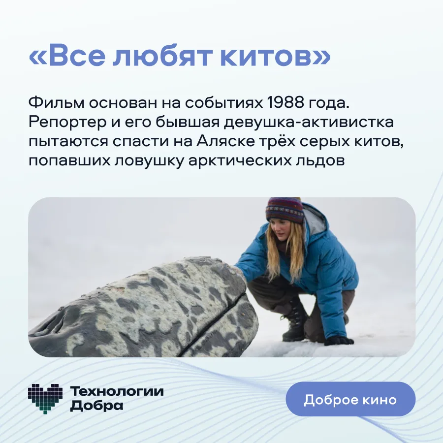 Доброе кино 🎬