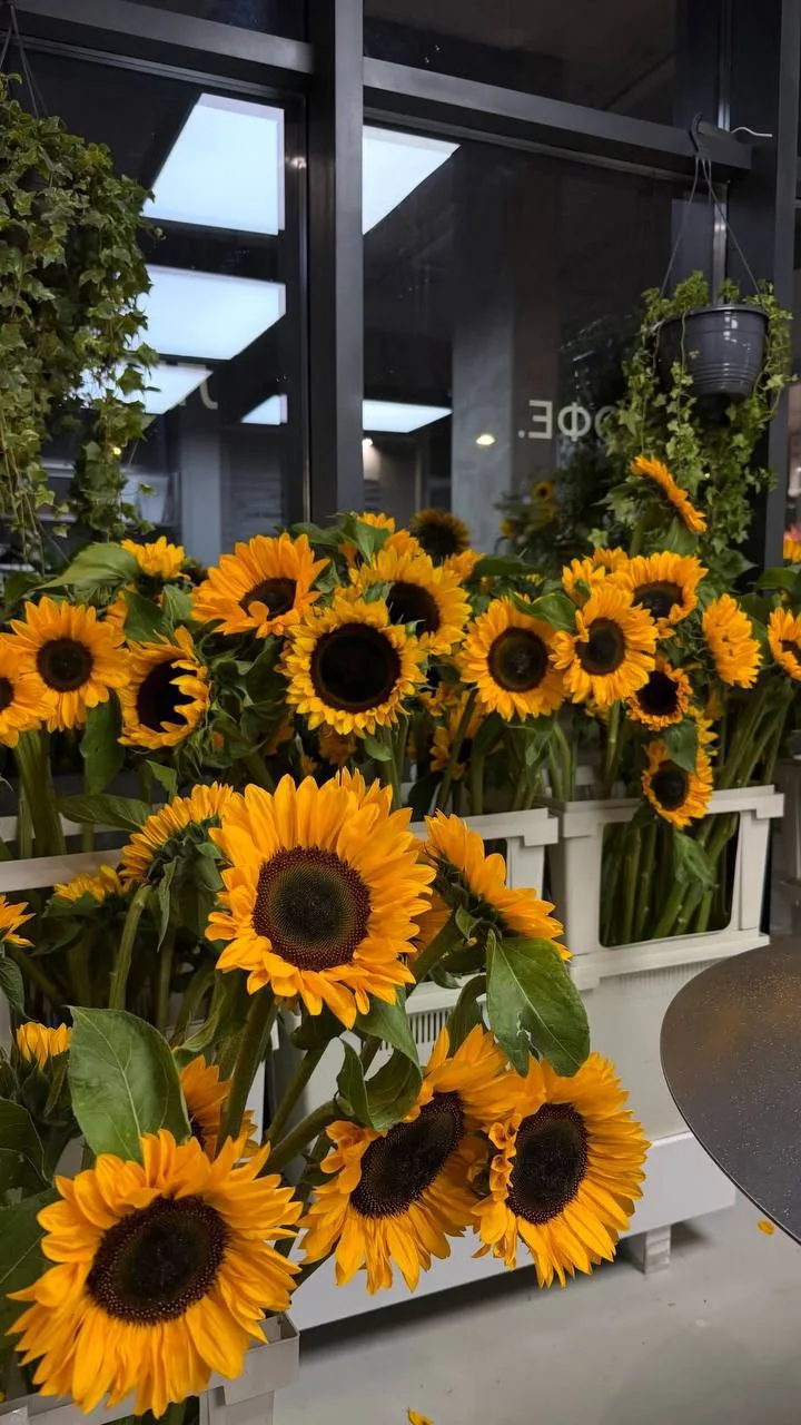 🌻 В Петербурге открылось новое цветочное пространство