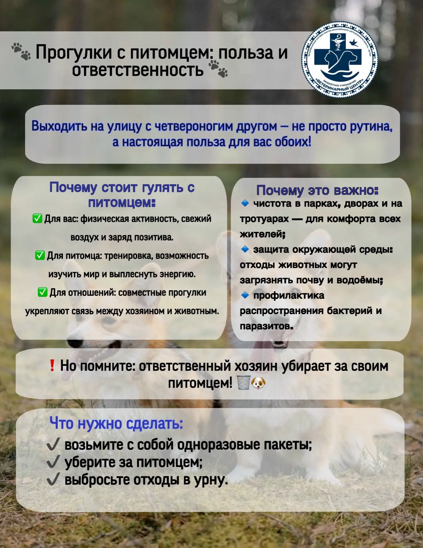 Давайте делать город чище вместе — с заботой о природе и соседях! 💚