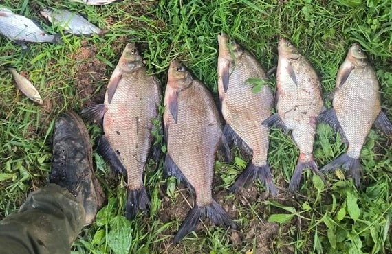 🎣 Сумасшедший клёв на Вятке: девять щук и окунь за семь часов сплава