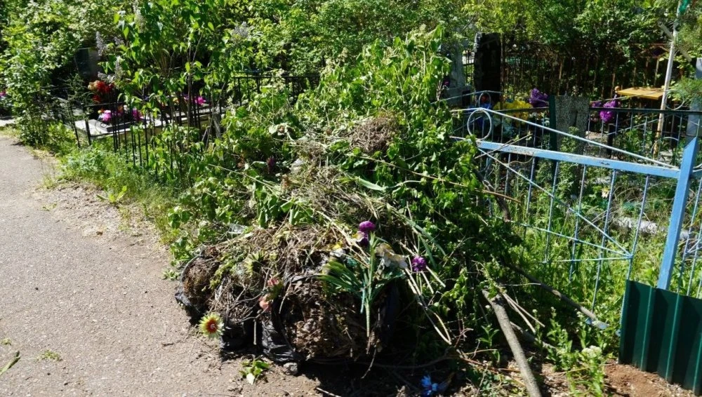 Городские кладбища Оренбурга готовят к летнему сезону  https://1743.ru/news/83872  Подрядчики косят 