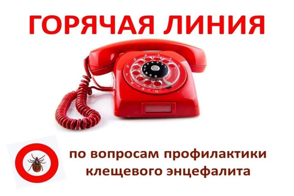 📢Департамент образования Томской области  сообщает о том, что в период с 27 апреля по ...