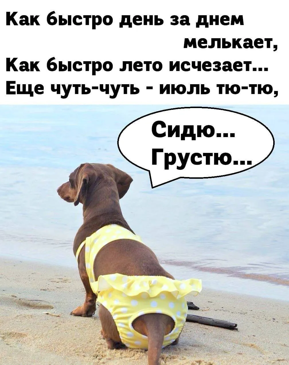 Понравилась открытка? Оставьте, пожалуйста, реакцию 🩷