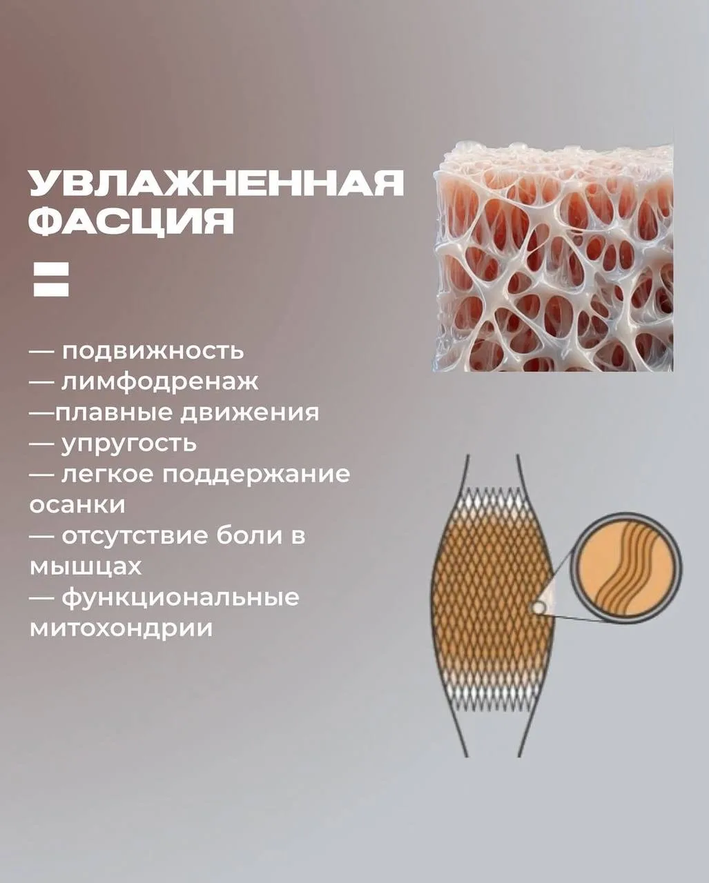 Утренняя скованность по утрам— первый признак того, что тело теряет свою увлажненность ...